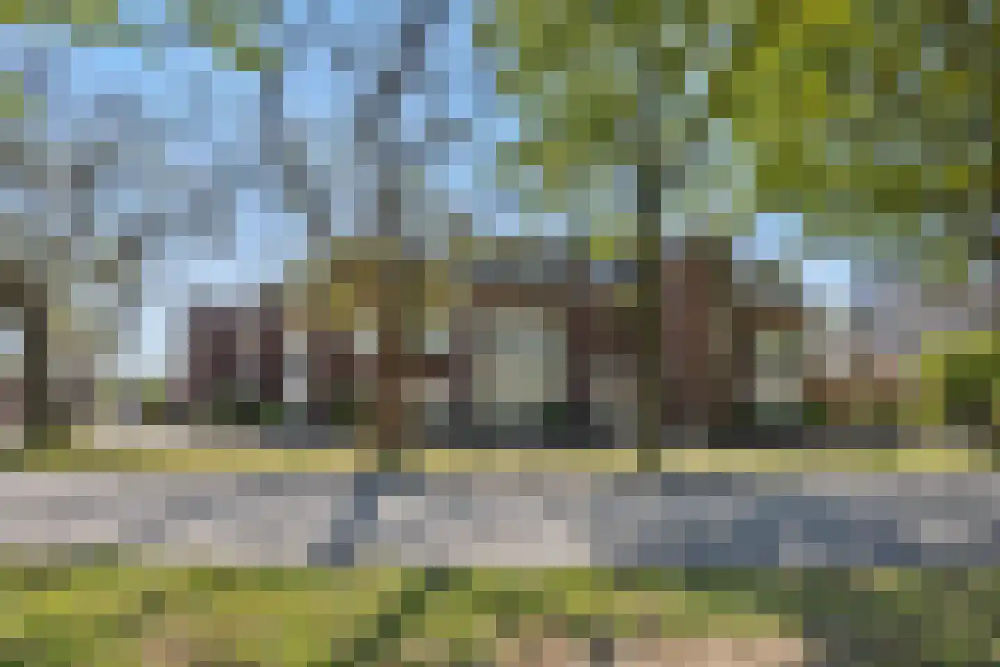 Deken van Roestellaan 35 E Rosmalen thumbnail 32
