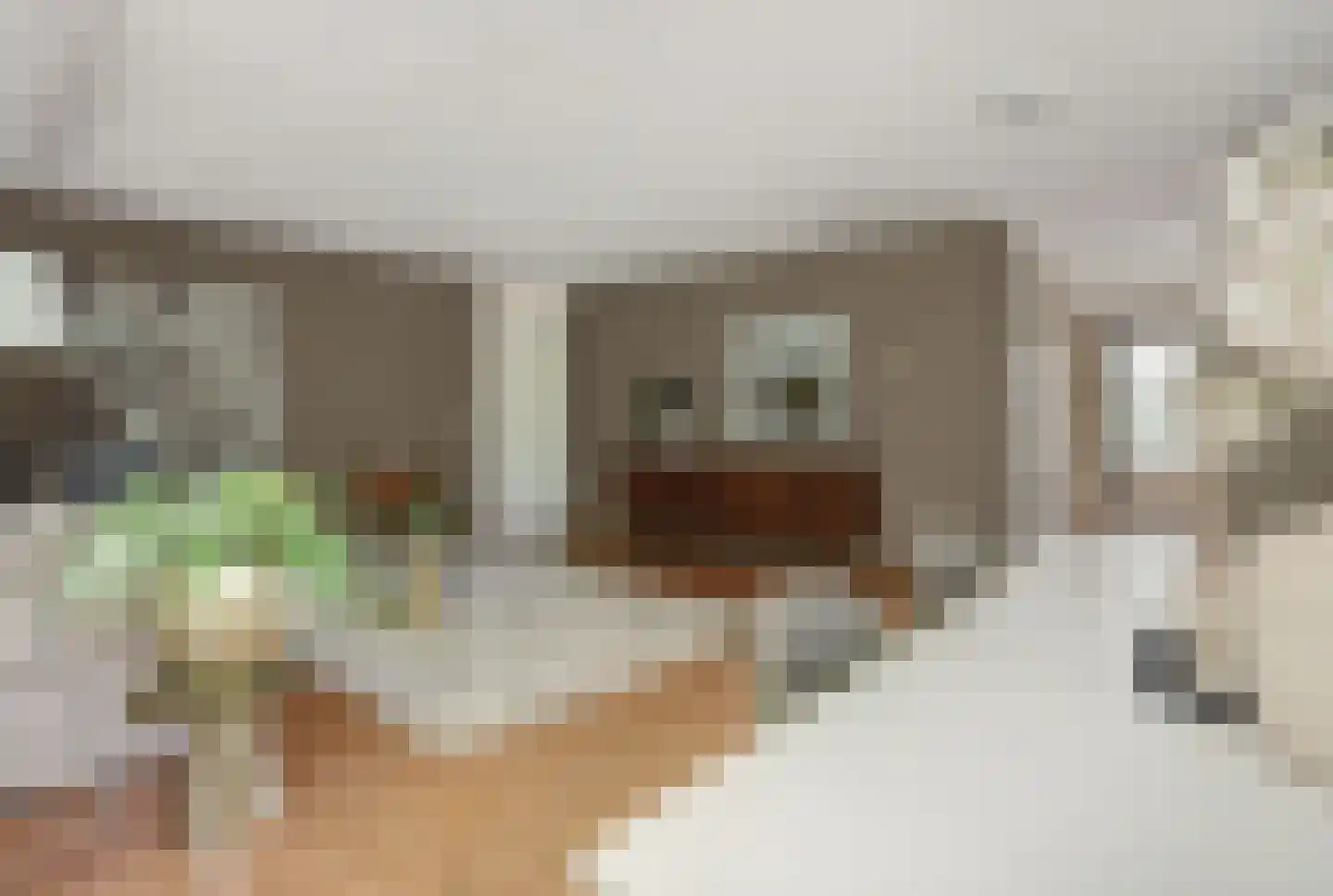 Deken van Roestellaan 35 E Rosmalen thumbnail 4