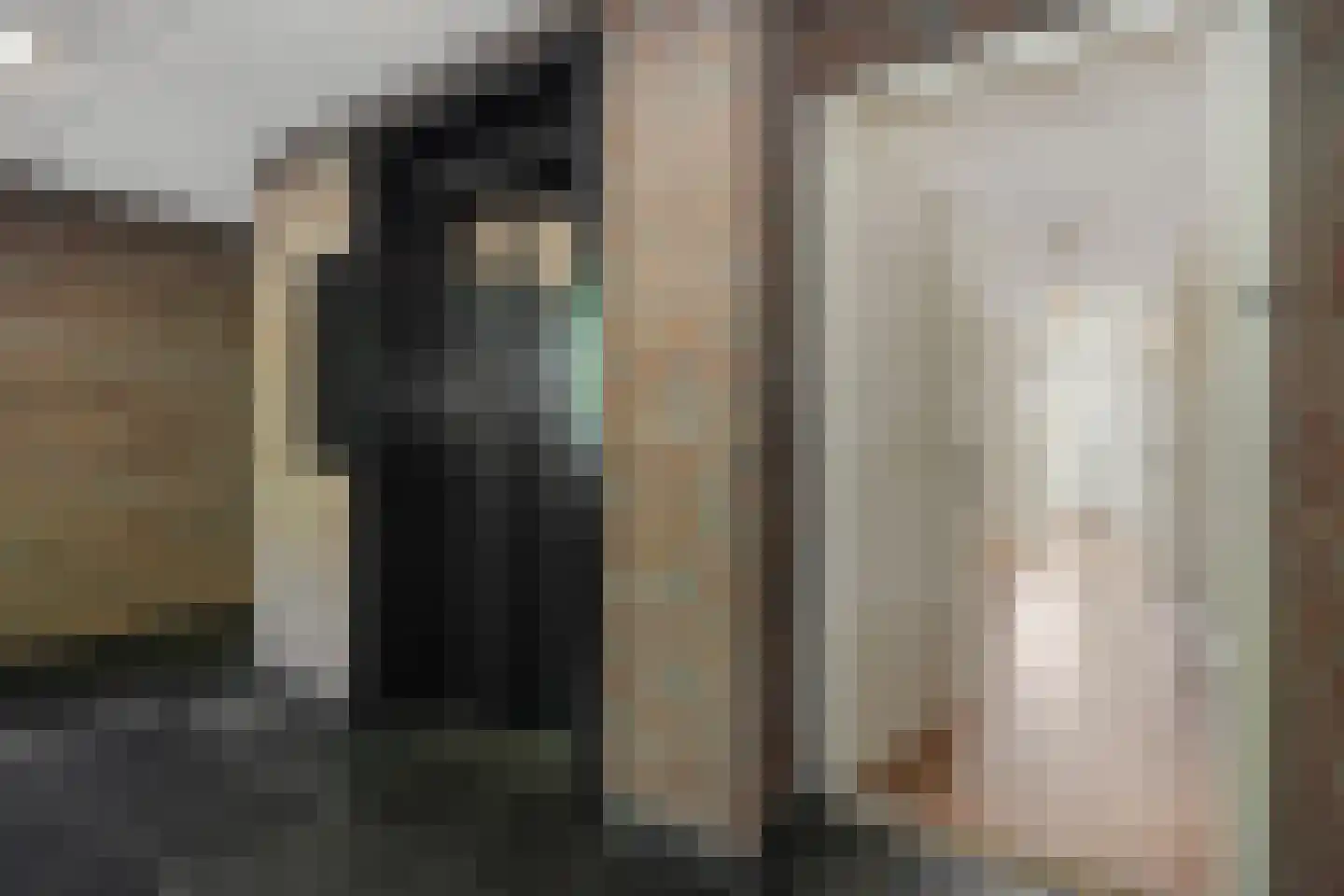 Deken van Roestellaan 35 E Rosmalen thumbnail 5