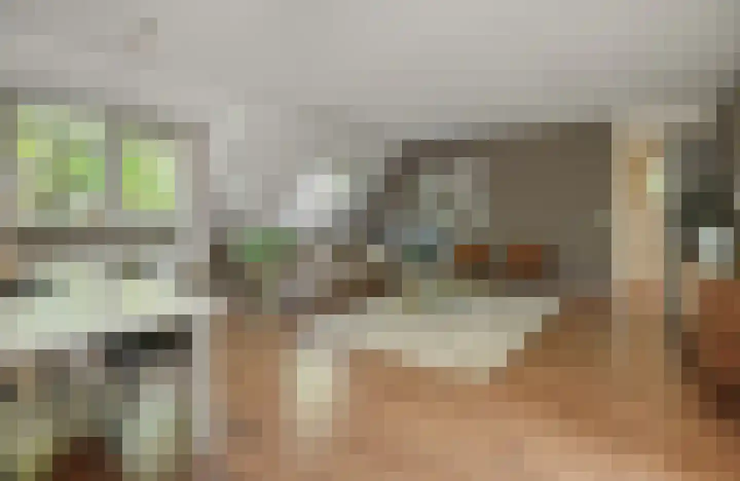 Deken van Roestellaan 35 E Rosmalen thumbnail 7