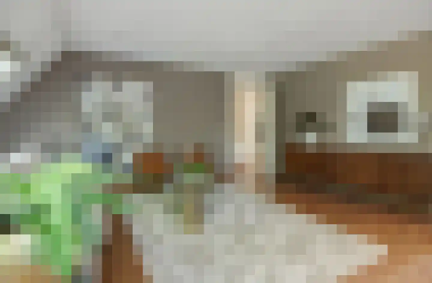 Deken van Roestellaan 35 E Rosmalen thumbnail 8
