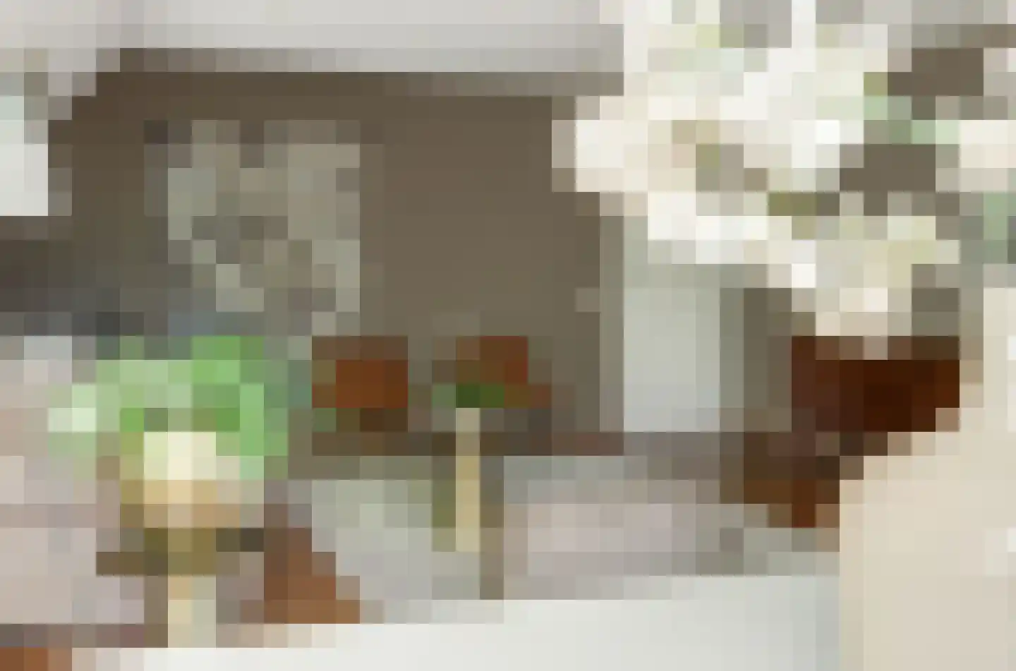 Deken van Roestellaan 35 E Rosmalen thumbnail 9
