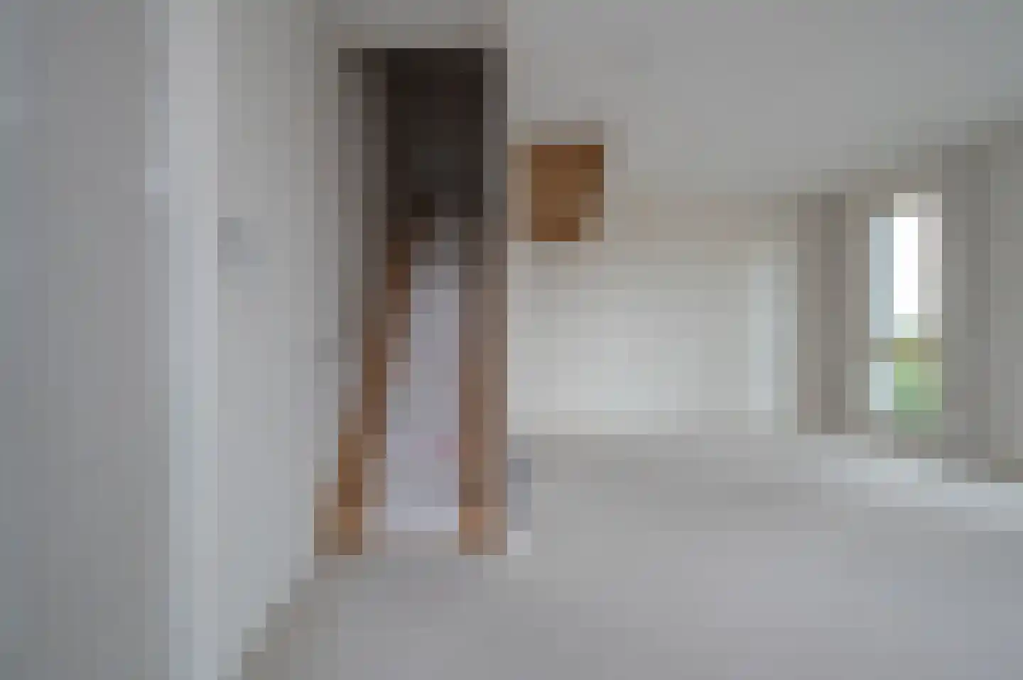 Deken van Somerenstraat 105 Eindhoven thumbnail 11