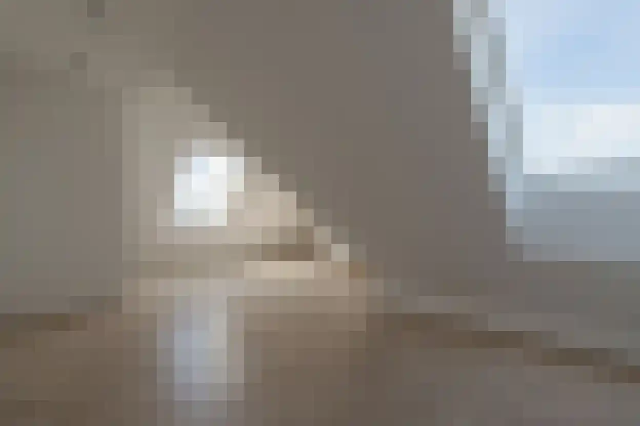 Deken van Somerenstraat 105 Eindhoven thumbnail 20