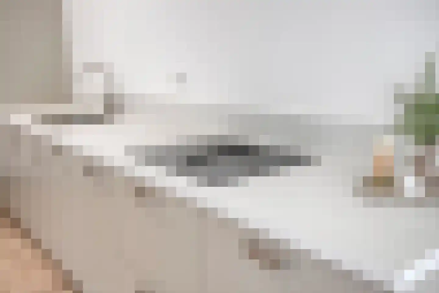 Deken van Somerenstraat 106 Eindhoven thumbnail 11