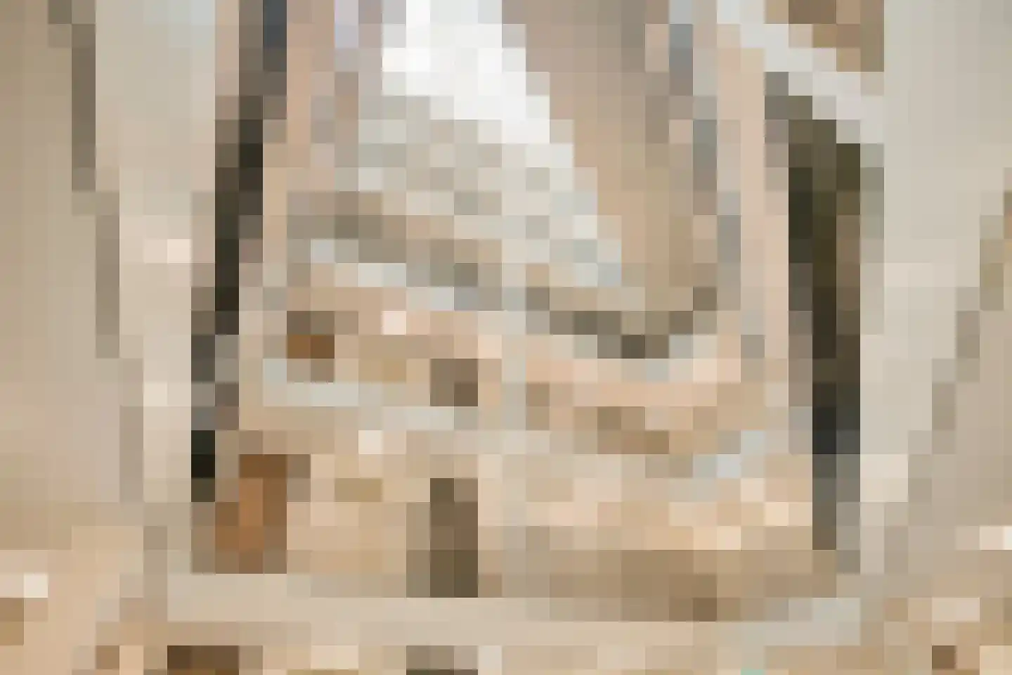 Deken van Somerenstraat 106 Eindhoven thumbnail 20