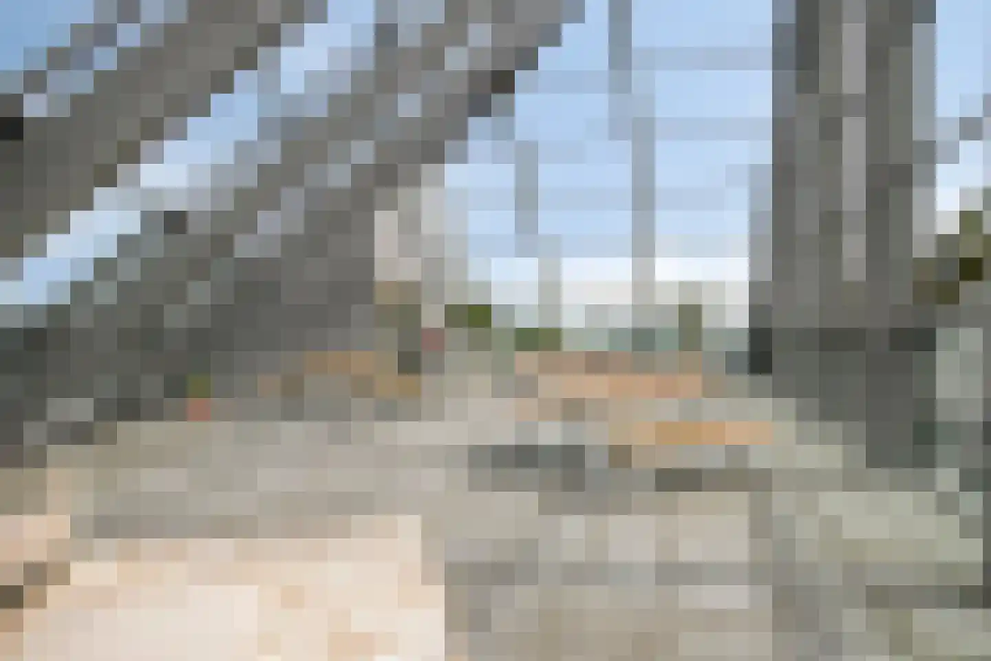 Deken van Somerenstraat 106 Eindhoven thumbnail 21