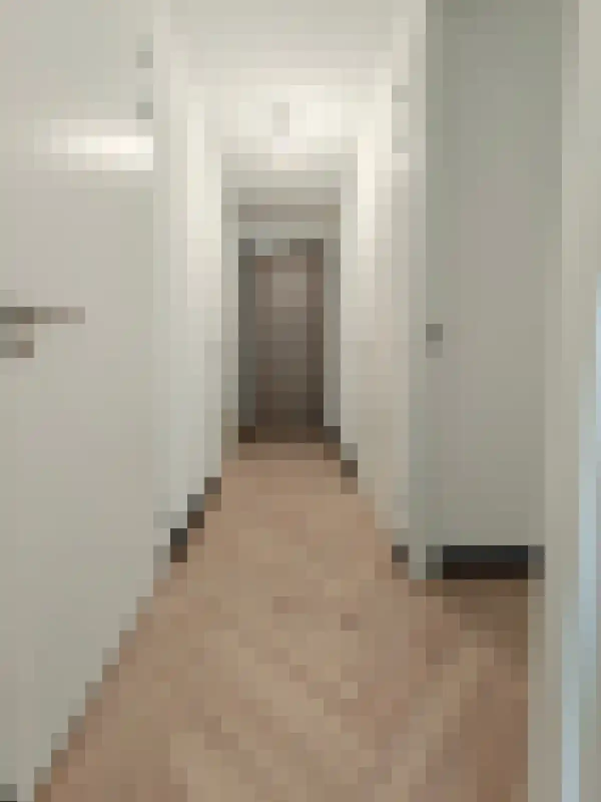 Deken van Somerenstraat 106 Eindhoven thumbnail 6