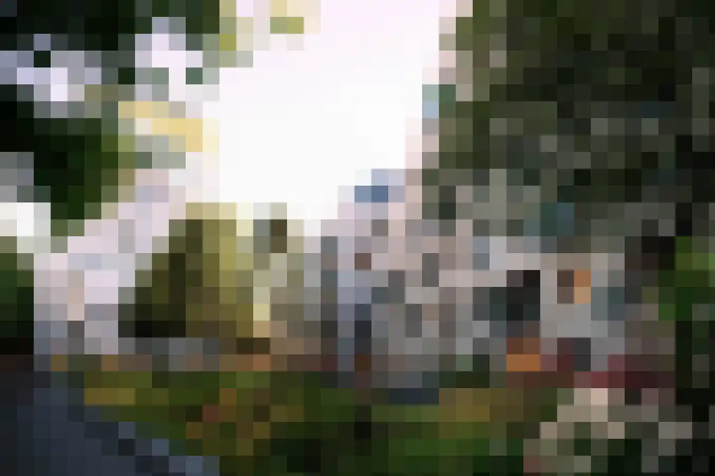 Deken van Somerenstraat 116 Eindhoven thumbnail 6