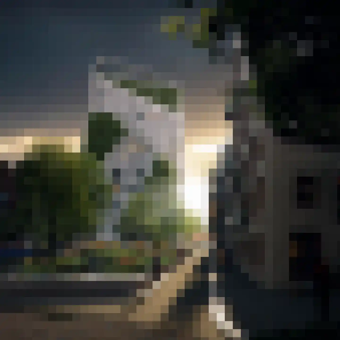 Deken van Somerenstraat 116 Eindhoven thumbnail 7