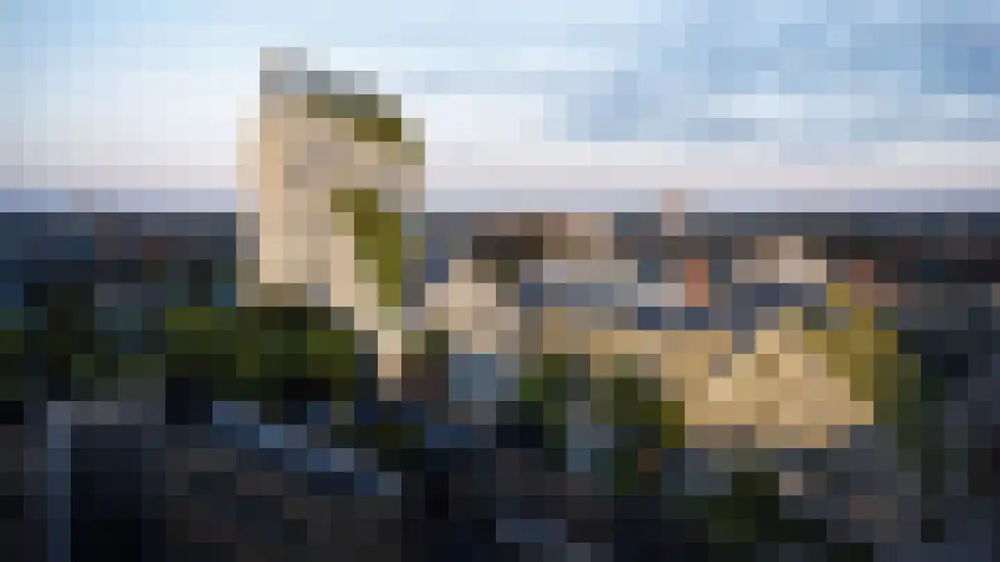 Deken van Somerenstraat 116 Eindhoven thumbnail 9