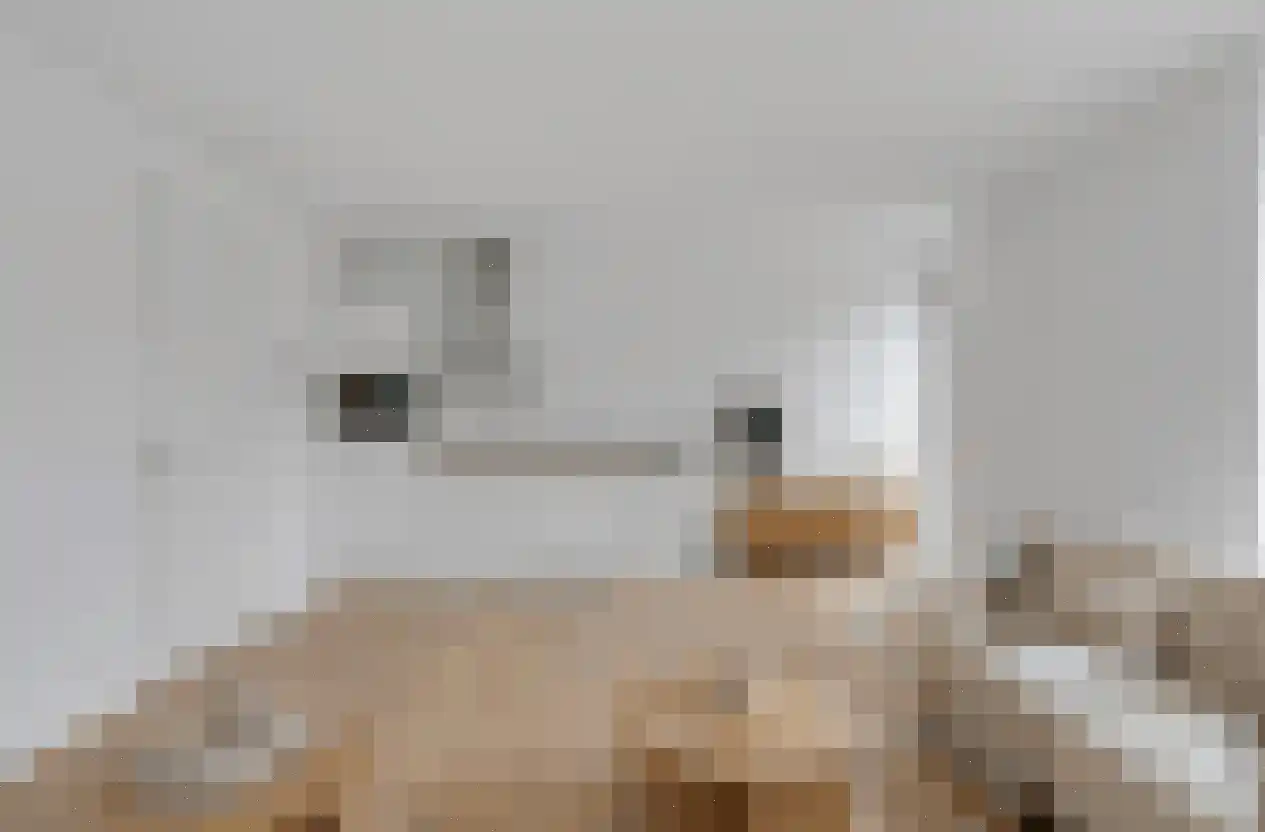 Deken van Somerenstraat 16 Eindhoven thumbnail 14