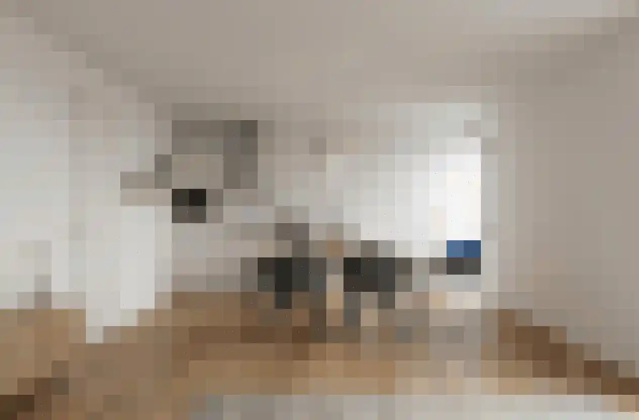 Deken van Somerenstraat 16 Eindhoven thumbnail 15