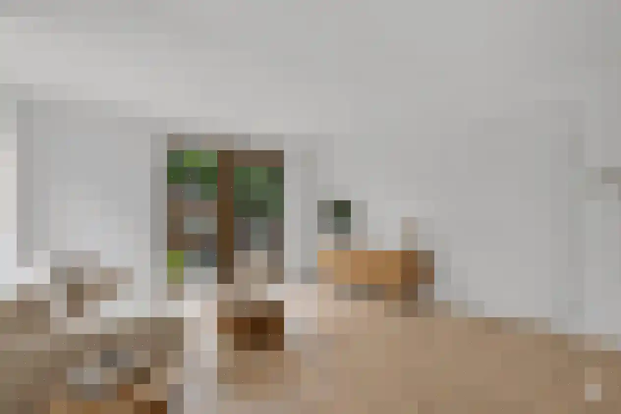 Deken van Somerenstraat 16 Eindhoven thumbnail 16