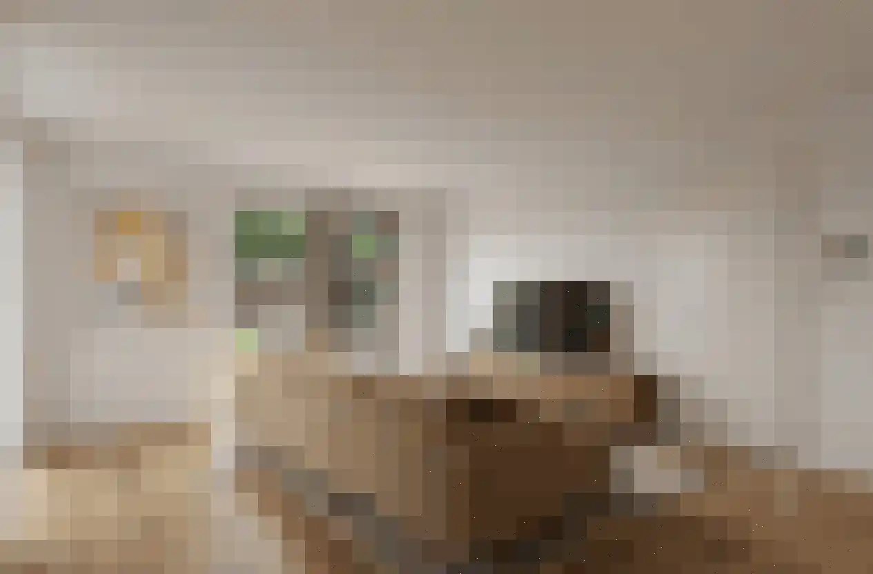 Deken van Somerenstraat 16 Eindhoven thumbnail 17