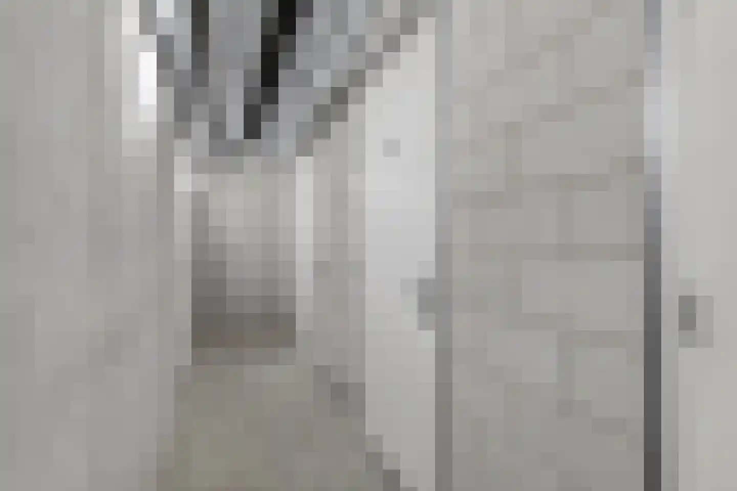Deken van Somerenstraat 16 Eindhoven thumbnail 32