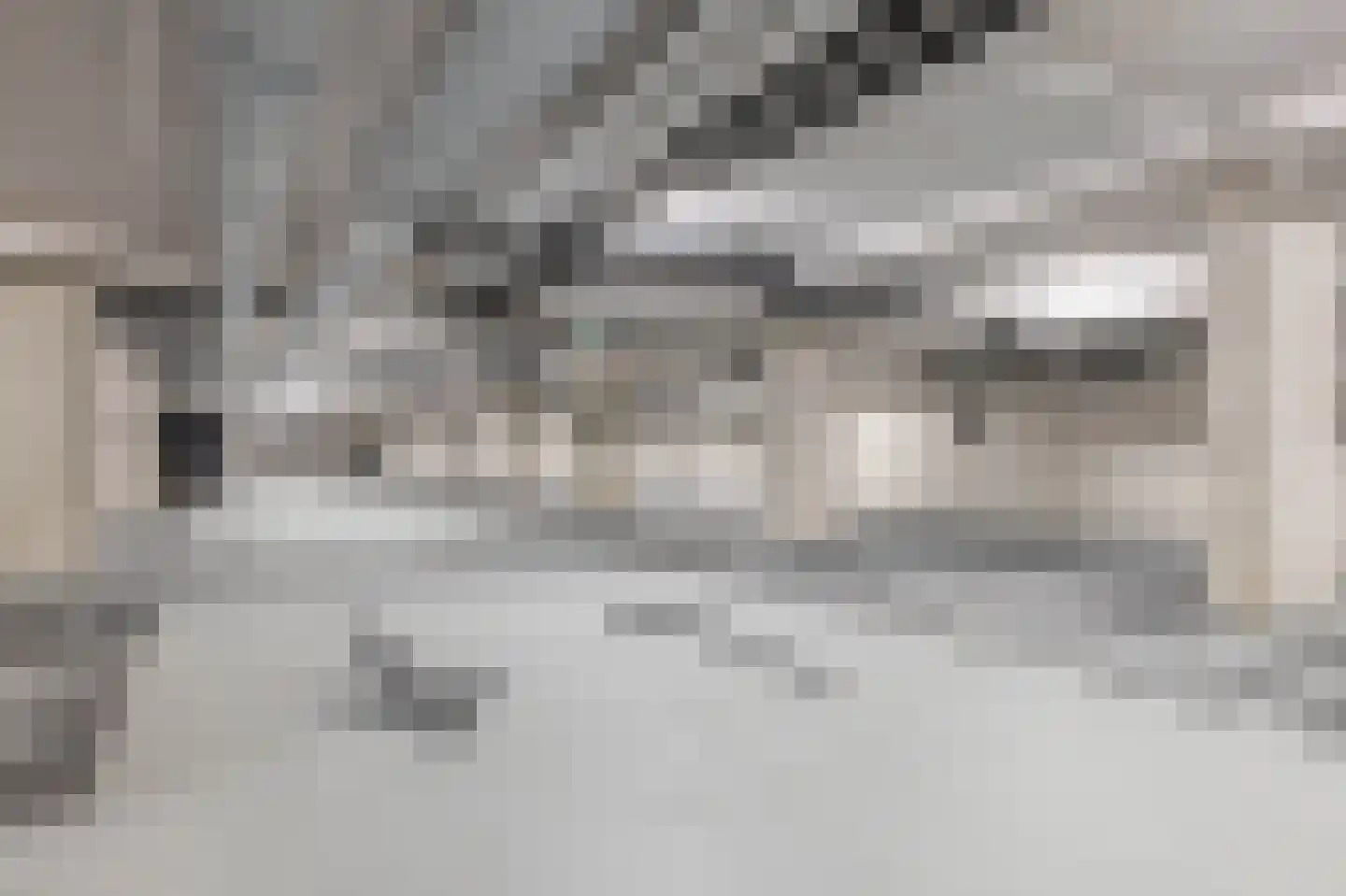 Deken van Somerenstraat 16 Eindhoven thumbnail 34