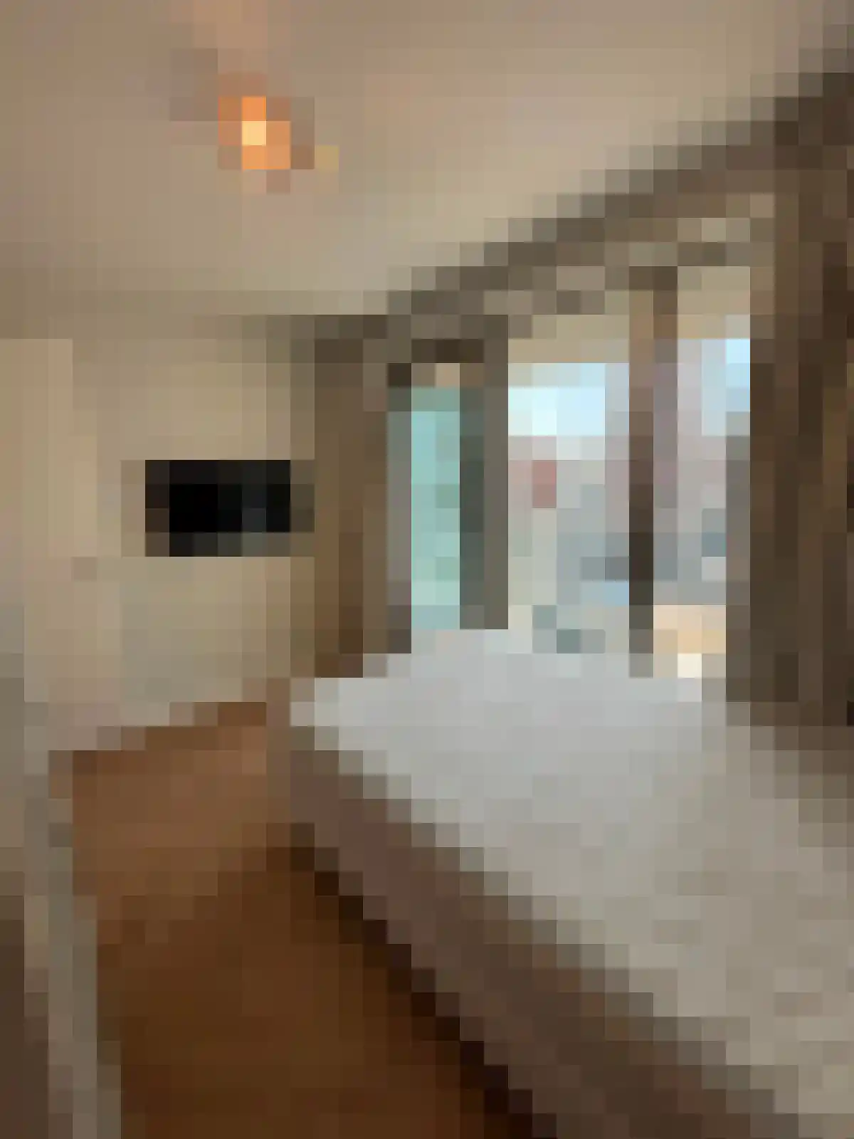 Deken van Somerenstraat 24 Eindhoven thumbnail 5