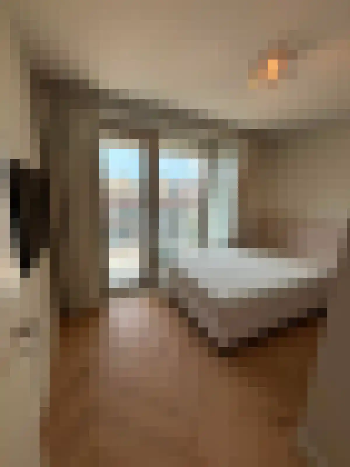 Deken van Somerenstraat 24 Eindhoven thumbnail 6