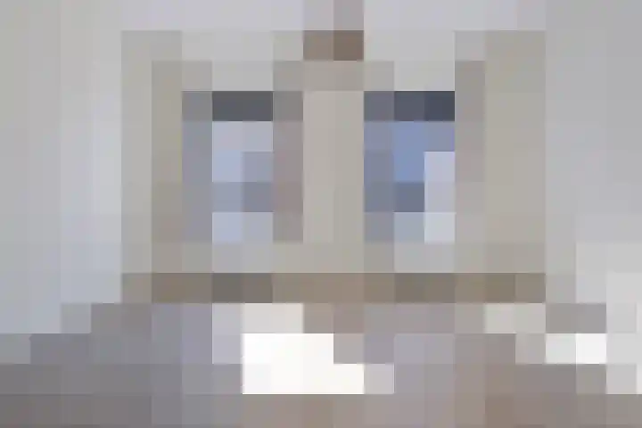 Deken van Somerenstraat 334 Eindhoven thumbnail 10