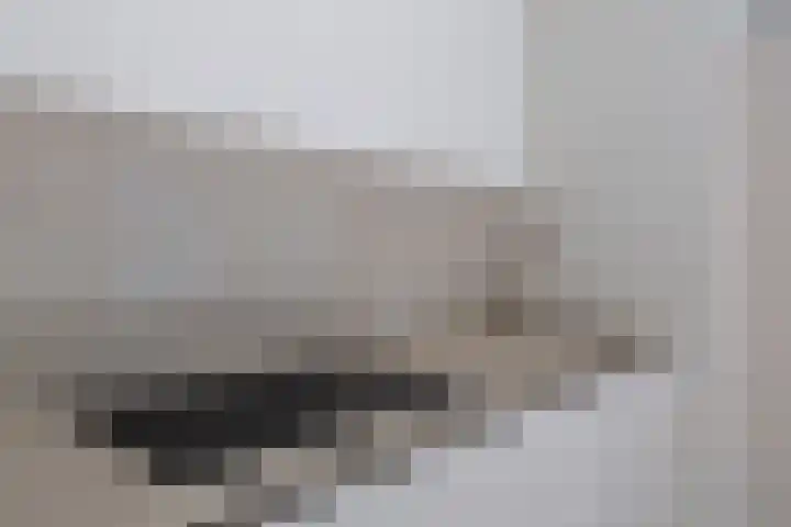 Deken van Somerenstraat 334 Eindhoven thumbnail 14
