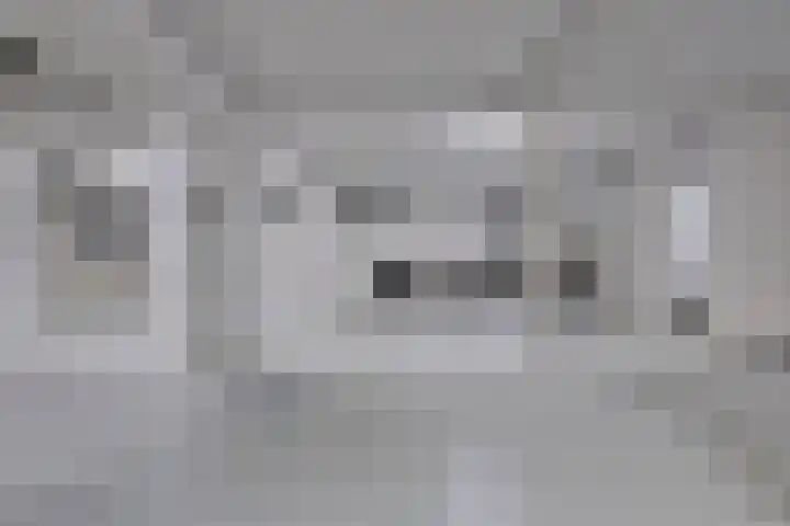 Deken van Somerenstraat 334 Eindhoven thumbnail 22