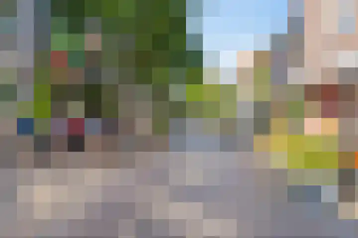 Deken van Somerenstraat 334 Eindhoven thumbnail 23