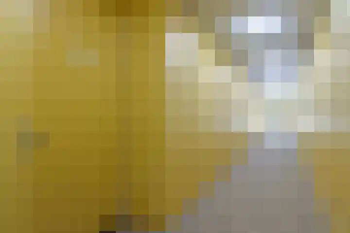 Deken van Somerenstraat 334 Eindhoven thumbnail 5