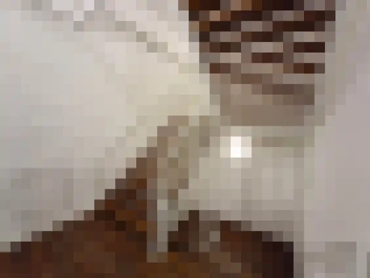 Deken van Somerenstraat 338 Eindhoven thumbnail 4