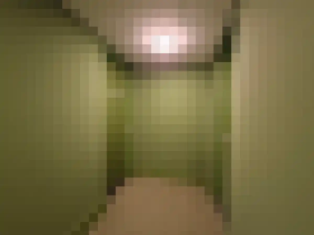 Deken van Somerenstraat 338 Eindhoven thumbnail 6