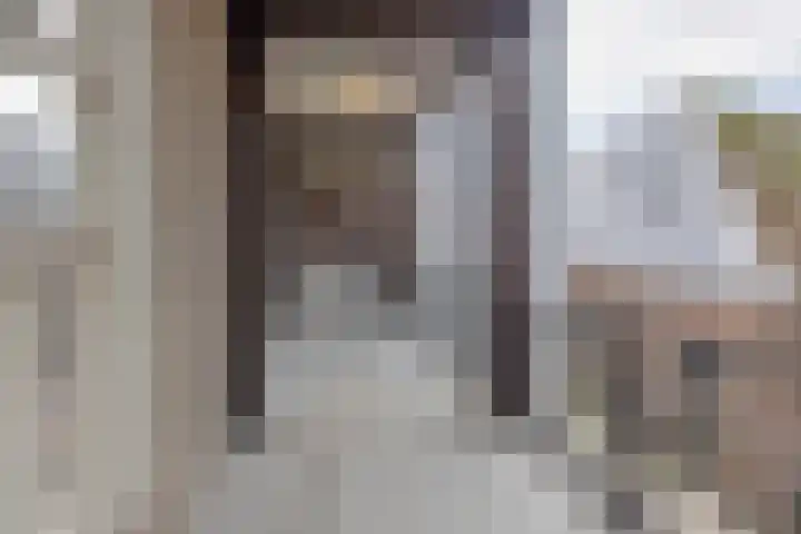 Deken van Somerenstraat 346 Eindhoven thumbnail 10
