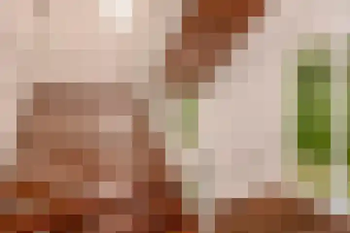 Deken van Somerenstraat 346 Eindhoven thumbnail 11