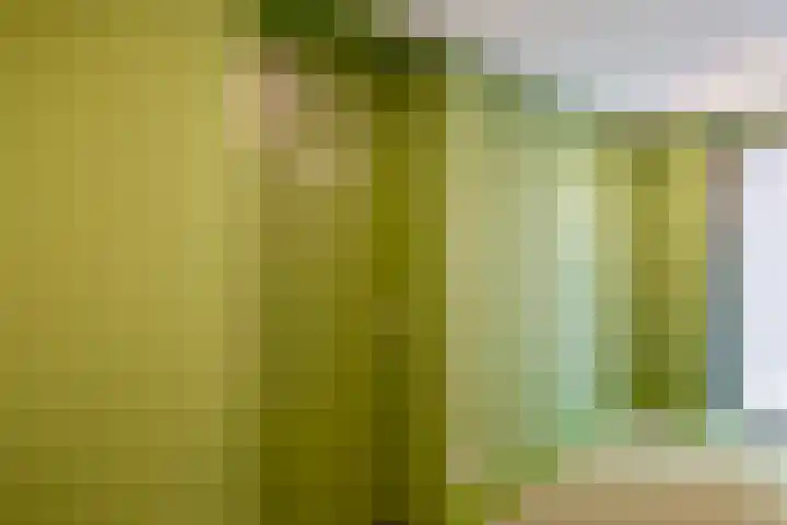Deken van Somerenstraat 346 Eindhoven thumbnail 12
