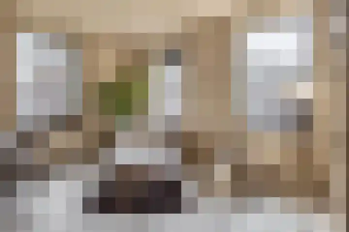 Deken van Somerenstraat 346 Eindhoven thumbnail 15