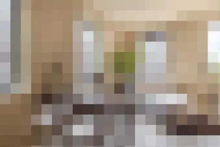 Deken van Somerenstraat 346 Eindhoven thumbnail 18