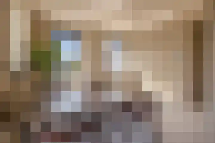 Deken van Somerenstraat 346 Eindhoven thumbnail 19