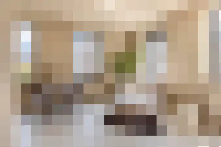 Deken van Somerenstraat 346 Eindhoven thumbnail 20