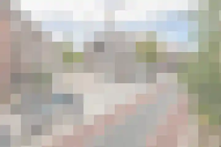 Deken van Somerenstraat 346 Eindhoven thumbnail 28