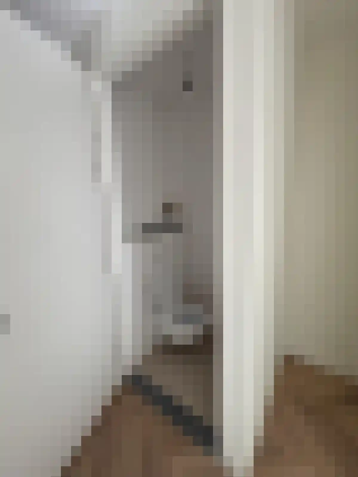 Deken van Somerenstraat 354 Eindhoven thumbnail 6