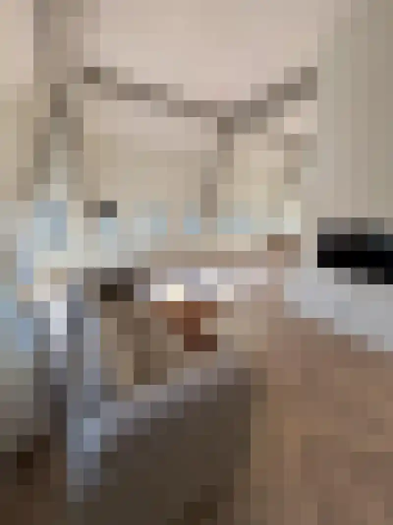 Deken van Somerenstraat 354 Eindhoven thumbnail 7
