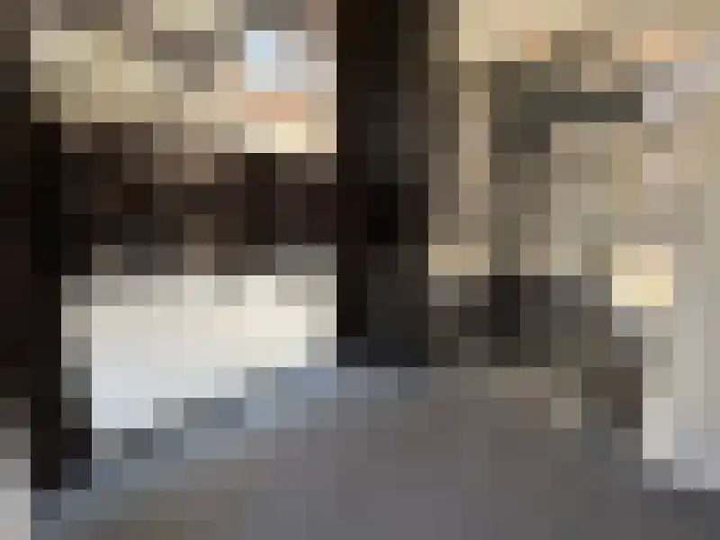 Deken van Somerenstraat 356 Eindhoven thumbnail 5