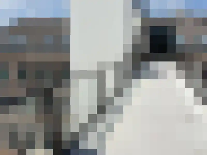 Deken van Somerenstraat 358 Eindhoven thumbnail 6