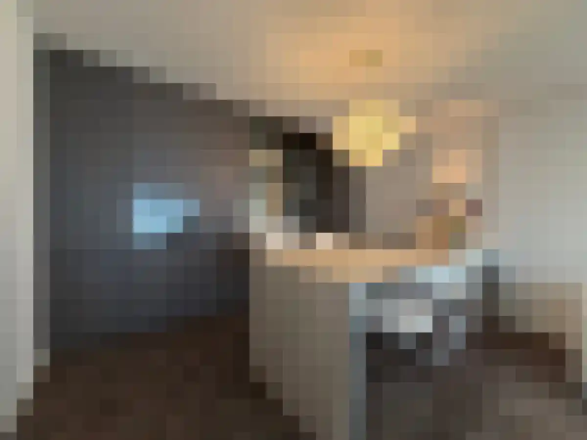 Deken van Somerenstraat 40 Eindhoven thumbnail 4