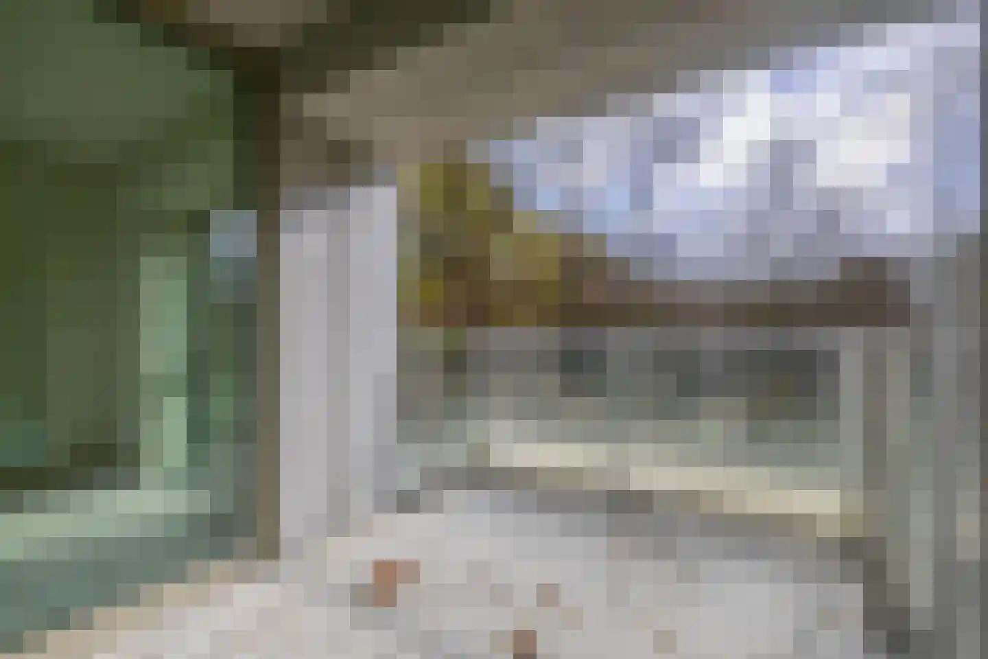 Deken van Somerenstraat 63 Eindhoven thumbnail 20