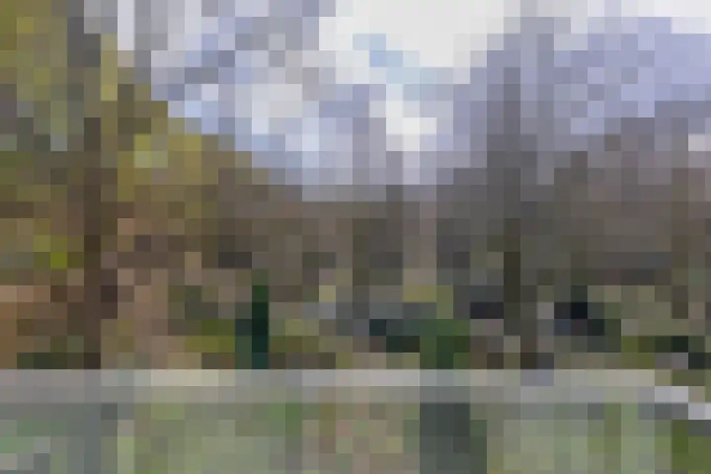 Deken van Somerenstraat 63 Eindhoven thumbnail 22