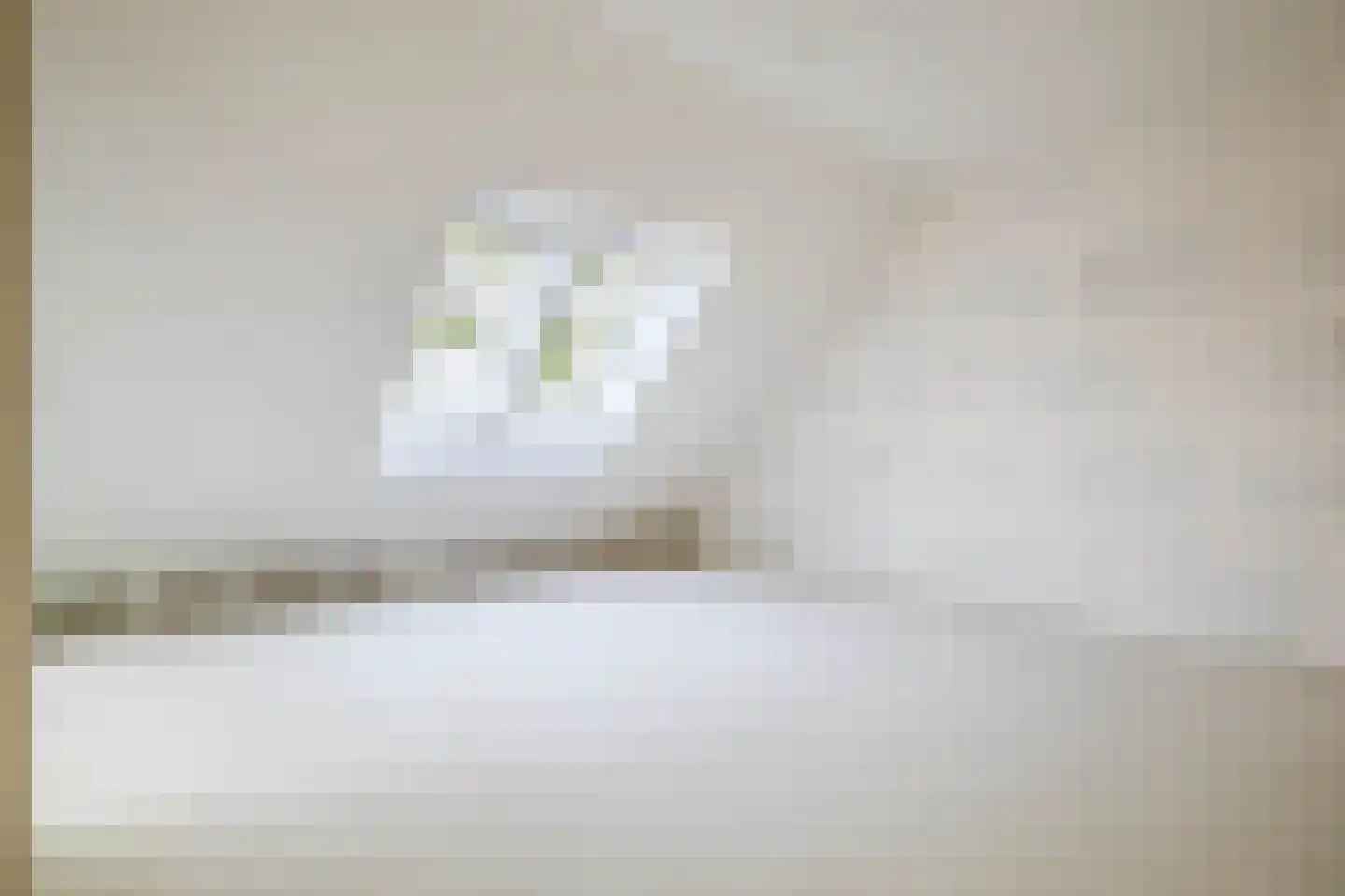 Deken van Somerenstraat 78 Eindhoven thumbnail 14