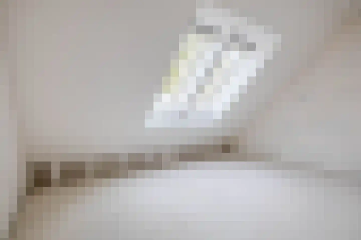 Deken van Somerenstraat 78 Eindhoven thumbnail 25