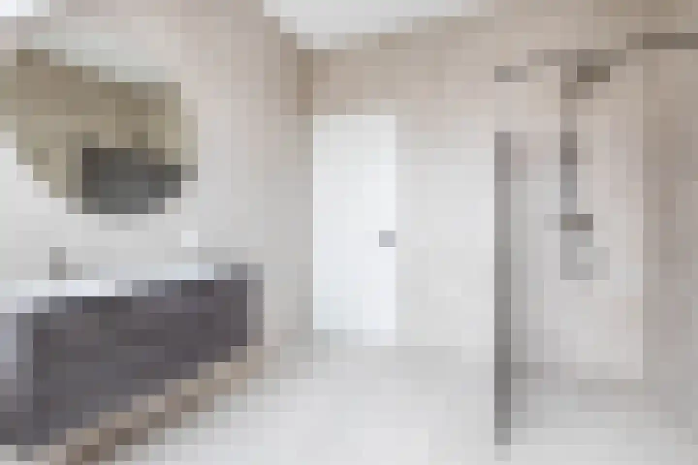 Deken van Somerenstraat 78 Eindhoven thumbnail 29