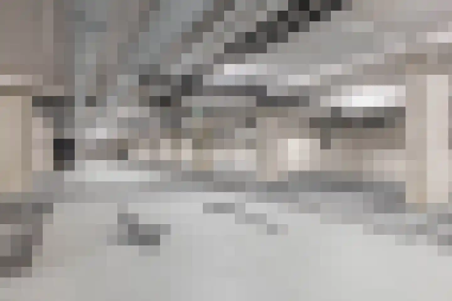 Deken van Somerenstraat 78 Eindhoven thumbnail 31