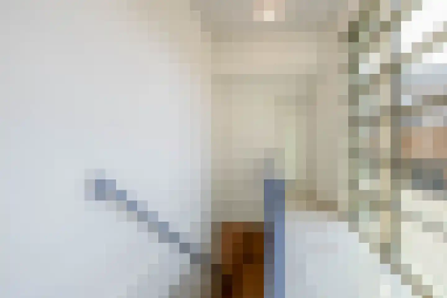 Deken van Somerenstraat 78 Eindhoven thumbnail 34